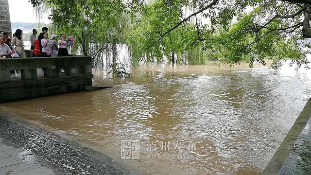 中共泸州市委书记刘强对防汛减灾工作作了紧急安排 应对两江洪峰过境泸州(图5)