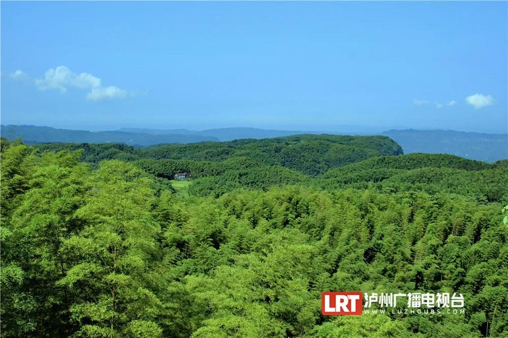 投资30亿元 泸州大旺竹海景区（一期） 公开招标(图2)