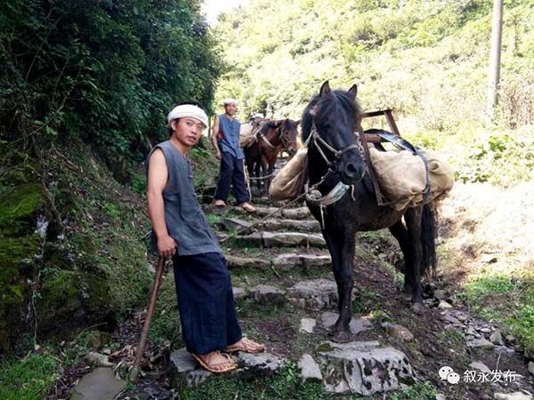 “云上古道·康养小镇”叙永摩尼的省级新名片(图3)