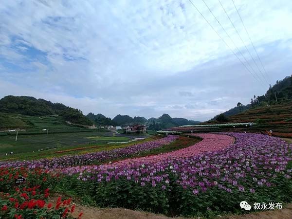 “云上古道·康养小镇”叙永摩尼的省级新名片(图4)