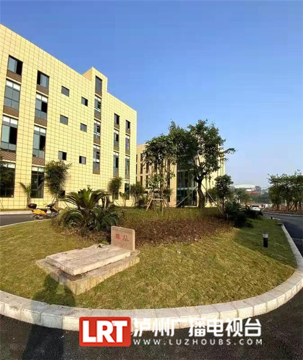 泸州市林业科学研究院标准化厂房项目一期工程全面完工(图4)