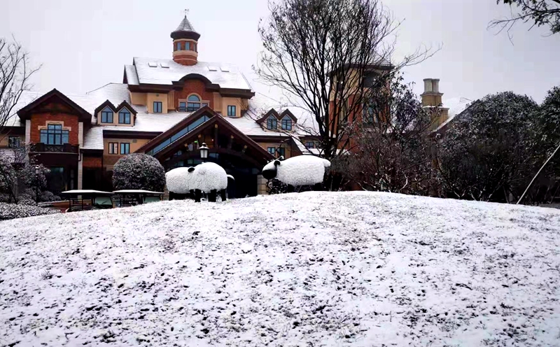 合江凤鸣镇金龙湖雪景